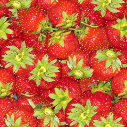 strawberries nature
